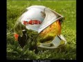 Nos h�ros de tous les jours: les pompiers