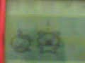 Tamagotchi Familitchi part 1 Tamagotchi Familitchi part 1