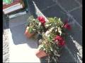 videos de ANDRIA. Rubati i fiori piantati da legambiente