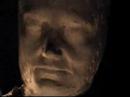 Shamen Mindscapes 2