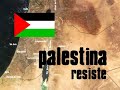 palestina resiste