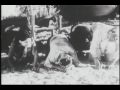 Zamboanga (1936) Part 3