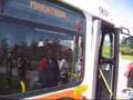 MISSISSAUGA TRANSIT at the MISSISSAUGA MARATHON