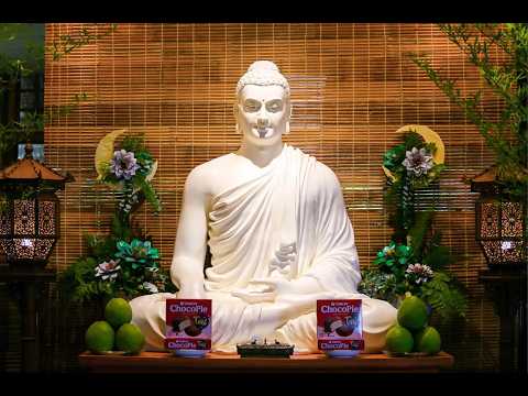 Tinh Hoa NIKAYA - Cách Giải Trừ Vô Minh - Tham Ái & Oan Gia Trái Chủ
