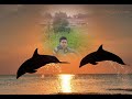 عبدالله ملحم من مخيم التنف على السويد