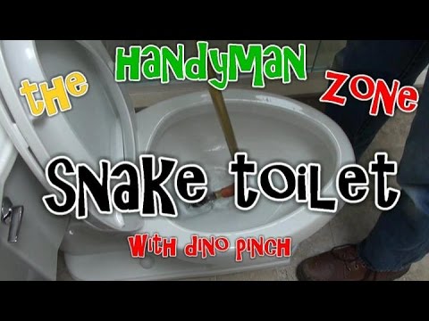 how to unclog a toilet with a plunger or snake