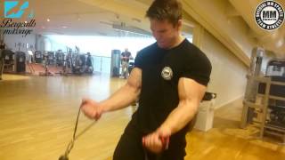 Major Guns, Gunshow, 50cm ARM WORKOUT!
