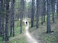 Mountain biking North fork CT 6/28 p2