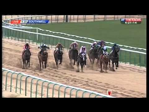 horses grand national horses grand national