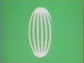 5-minute video describing positive results of space settlement study group in 1975.