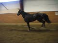 M�nljus L�shoppning