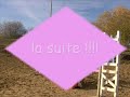 chutes de cheval