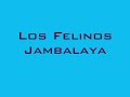 los felinos   jambalaya