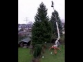 Oh Tannebaum R13
