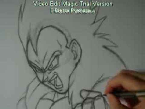 VEGETA SS20
