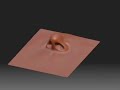 Zbrush Nose Modeling
