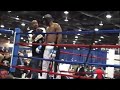 2008 arnold sport festival the kickboxing division.