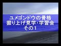 ユメゴンドウの骨格掘り上げ見学・学習会その1