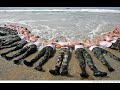 Watch 'navy seal tribute'