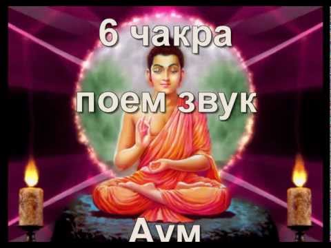 YouTube Трейлер