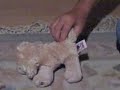 Hollywood and Peggy Video 1