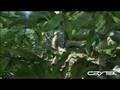 Crysis - Crytek - CryEngine 2 - best version