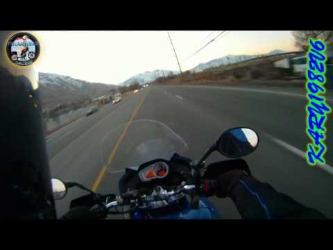 PBC 38 2011-2012/ SVENGALIE