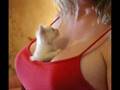 vERY fUNNY cATS 3