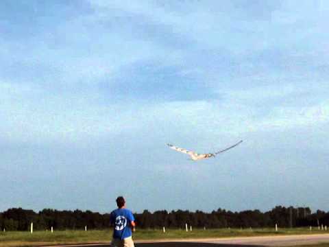 Watch RC Video: 'Rob Baker flies Robert Sanderson's RC Plate Plane on maiden flight'