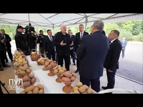 Первый. Главное. 21.09.26.