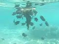 Hurghada Unterwasserwelt