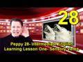 Peppy 28-intermediate English Learning Lesson # 1-Grammar