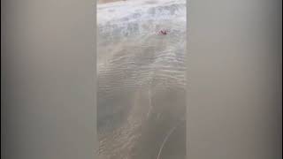 GTA resgata kitesurfista em alto-mar após acionamento do Corpo de Bombeiros