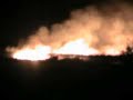 Mauritius - Sugar Cane Fire