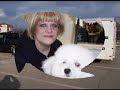 Connecticut School of Dog Grooming
