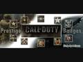 The Official Call of Duty 5 Prestige Badges