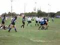 Silverbacks vs Pygmies