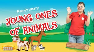 Pre-Primary: YOUNG ONES OF ANIMALS