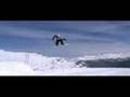 Fiss 2008 snowboarden