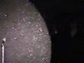 free music video The Andrews Sisters free music video