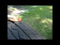 Icon for Post #DIY: Installing A Plug To Repair A Tire Leak