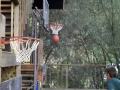 Basketball Skills