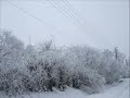 Mircea-Rusu-Band-Col