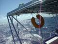 videos de pt sailing