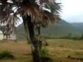 Kanyakumari Tamilnadu tourism, Kerala tourism