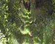 videos de Lits+Lauwers037 Hamsherne01