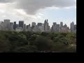 Central Park Balloon