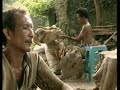 Bali, Indonesia – travel guide – Teletext Holidays