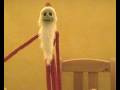 videos de Nightmare After Christmas