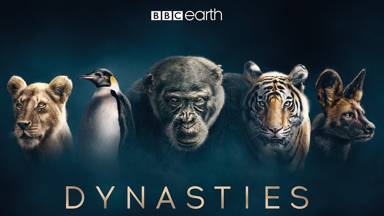 Dynasties I & II - David Attenborough [BLU-RAY]